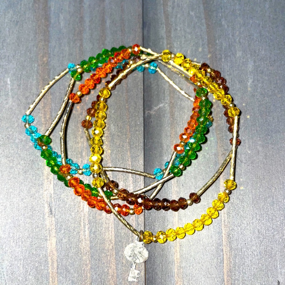 5 Colored Bracelets